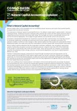 Explainer: Natural Capital Accounting