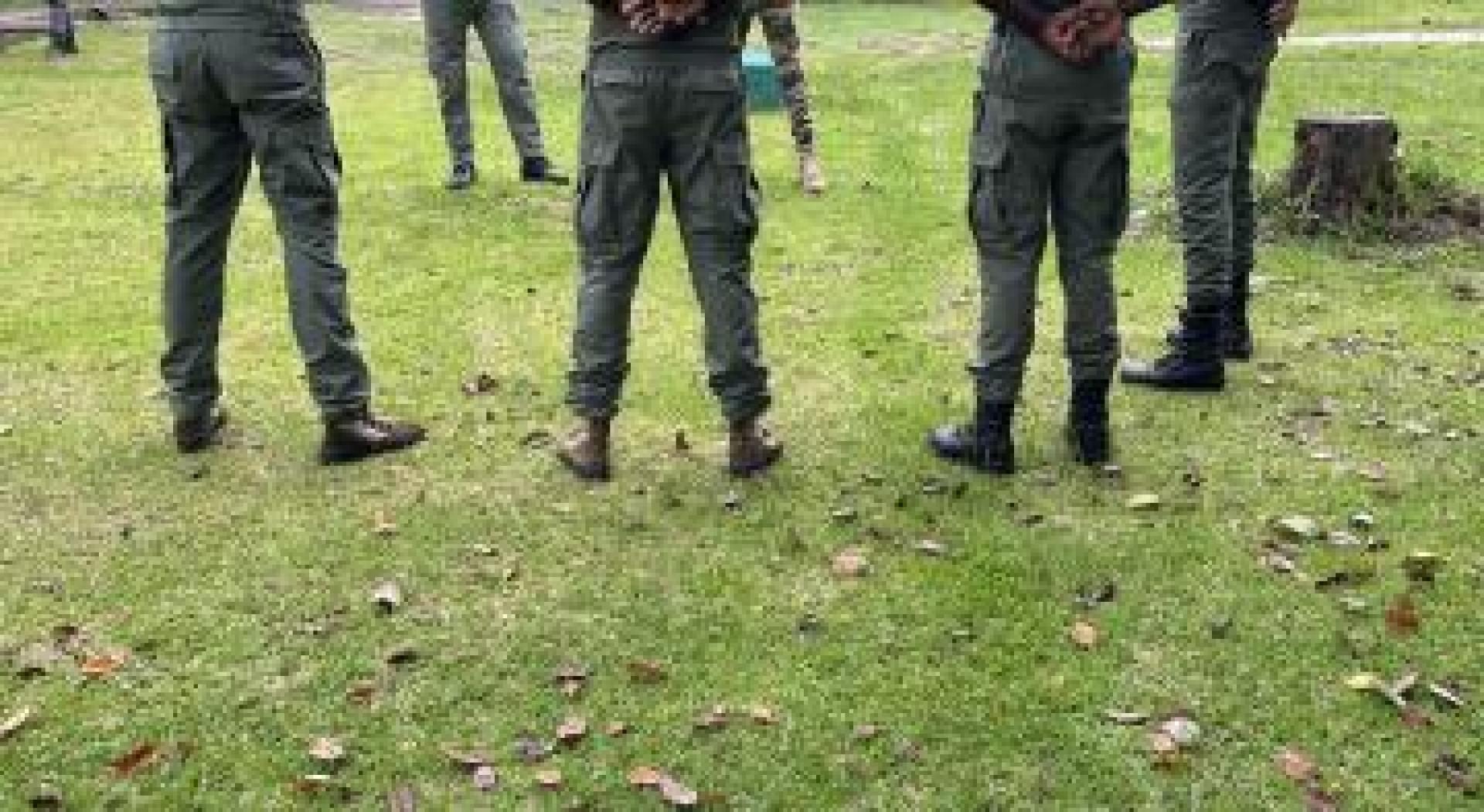 Strengthening transboundary networks to deal with wildlife crime across the Congo Basin