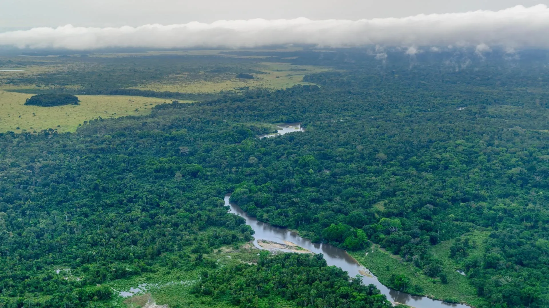 Protecting intact forest landscapes