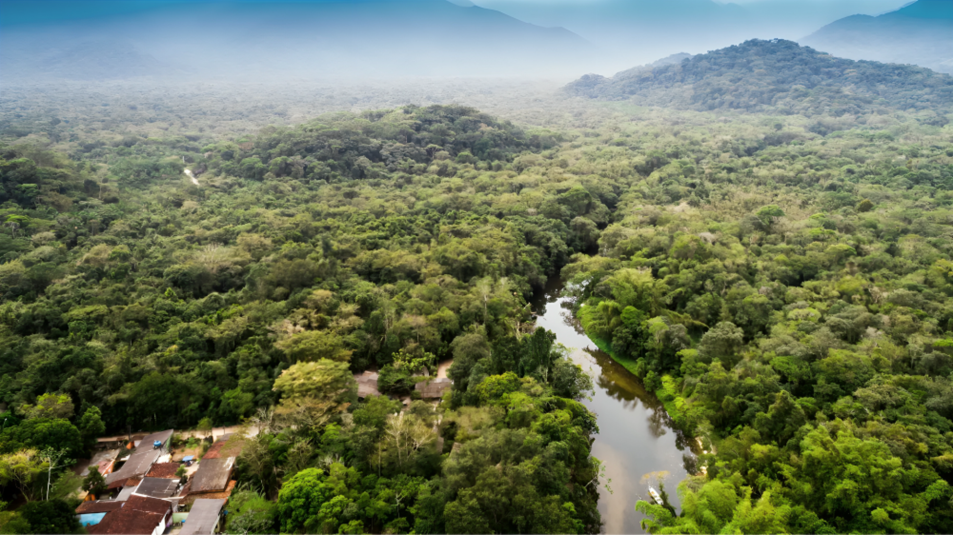 Integrated conservation of the Maiombe forest ecosystem in Cabinda ...