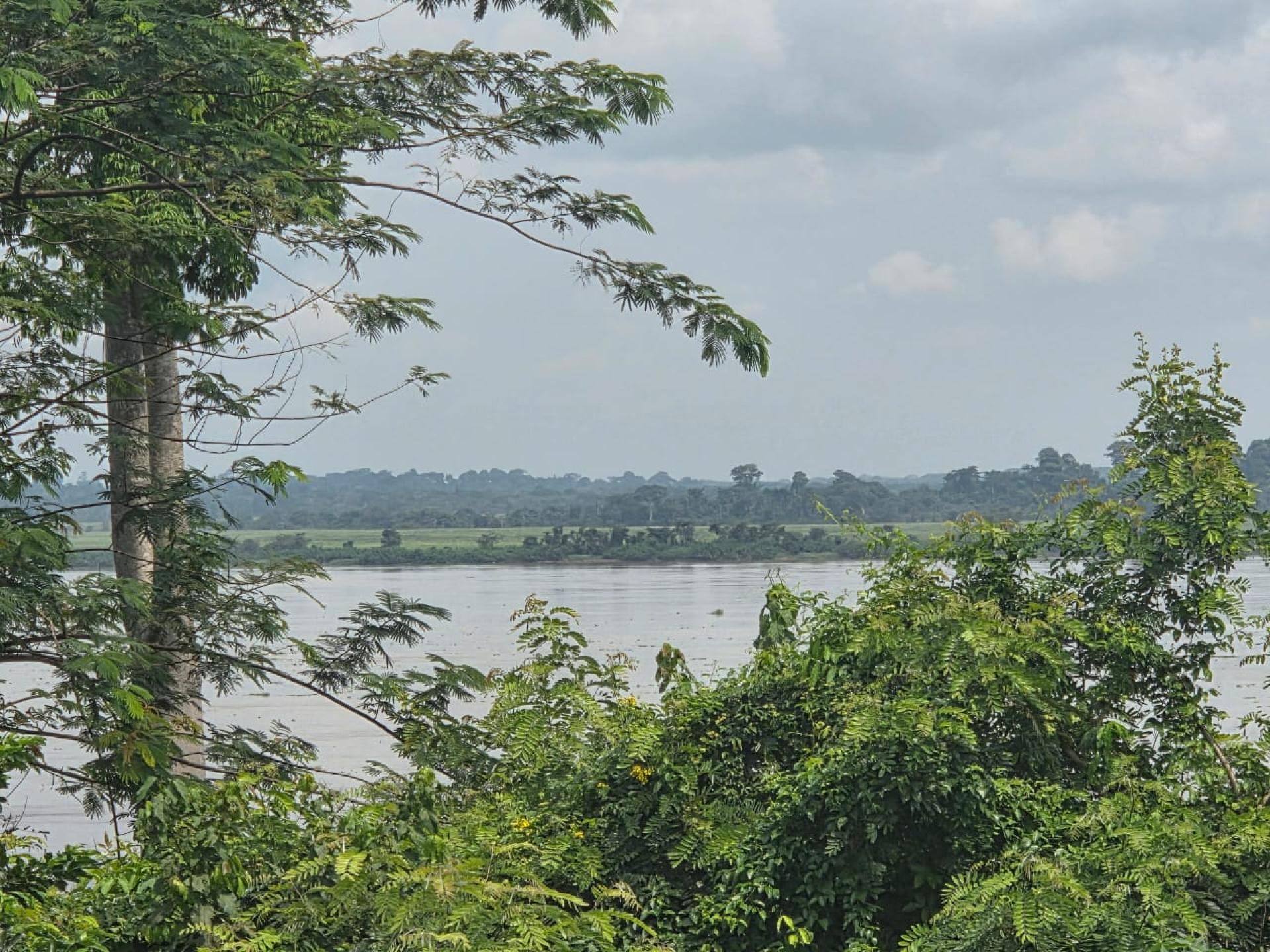 DRC-Lukolela-Tessa M