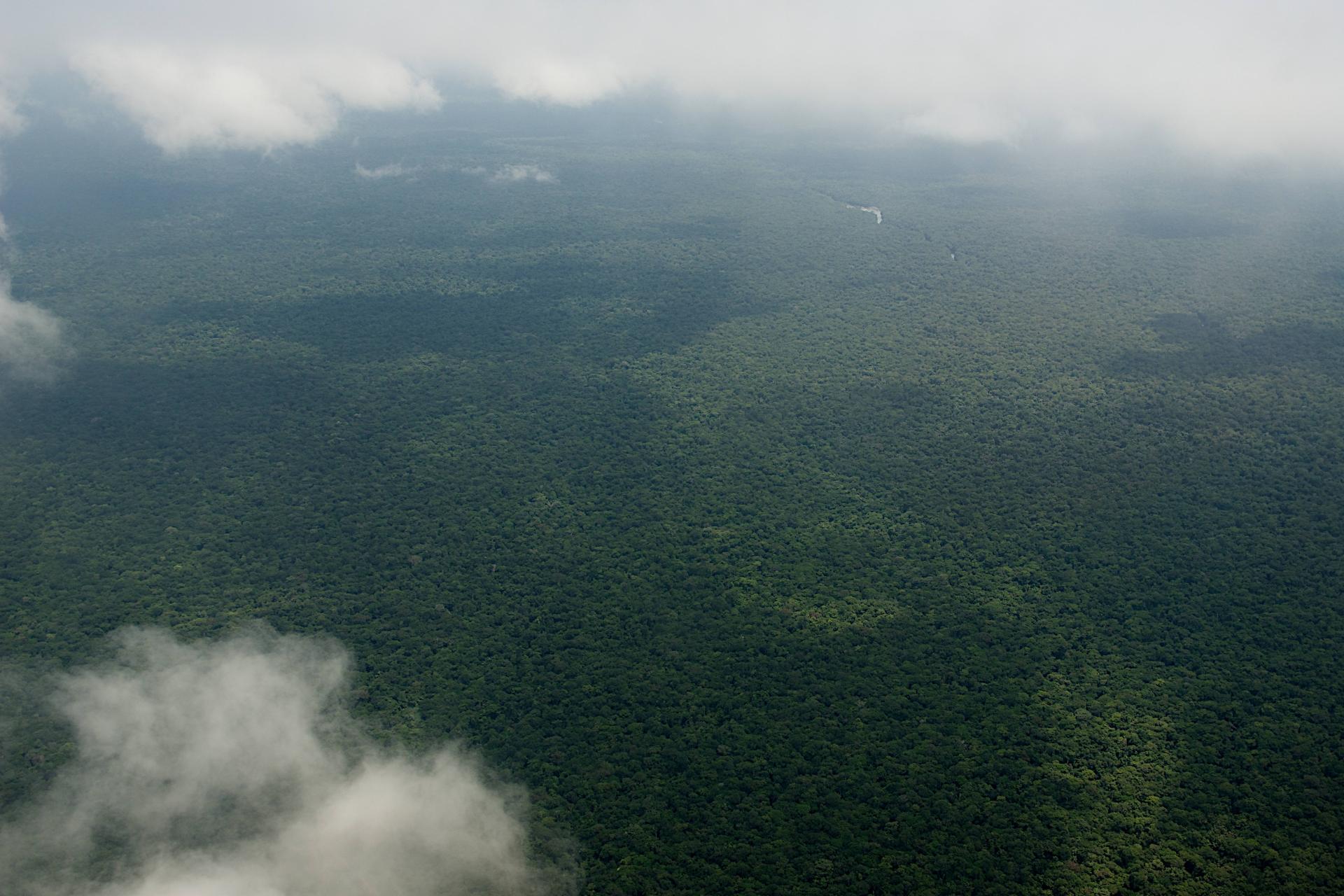 Equateur 2, DRC, Johannes Refisch