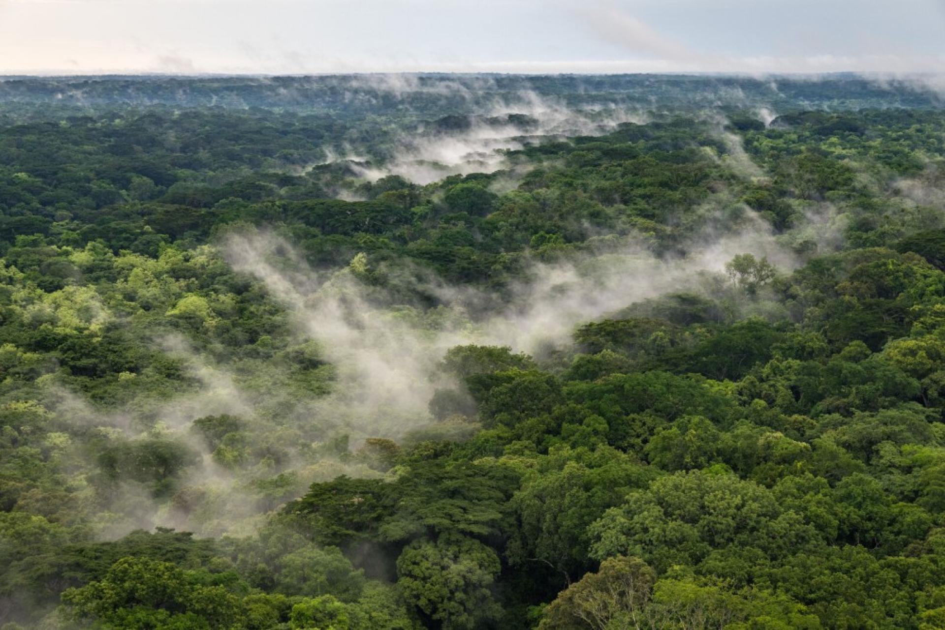 Biodiversity Conservation in Chinko, CAR © Marcus Westberg 