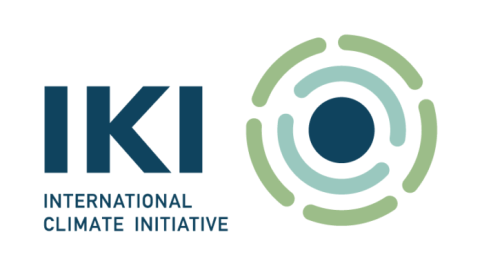 IKI Logo