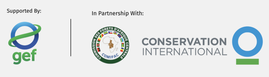 Supported and Partnership Organizations